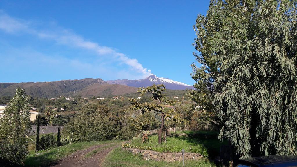 Alberto'S Mt.Etna B&B ザッフェラーナ・エトネーア エクステリア 写真