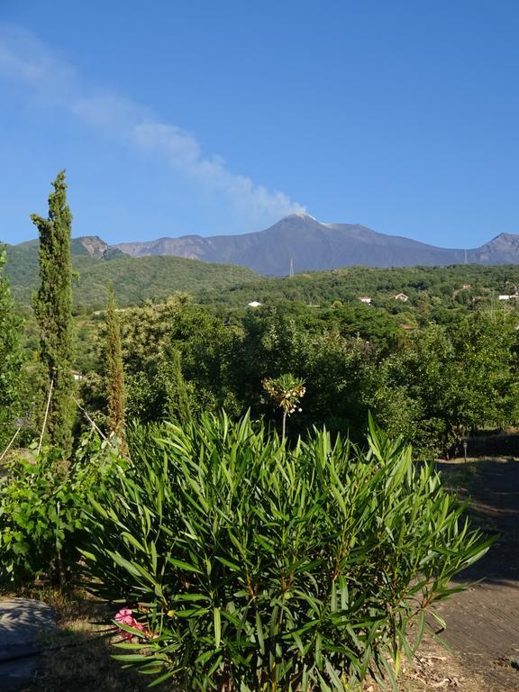 Alberto'S Mt.Etna B&B ザッフェラーナ・エトネーア エクステリア 写真